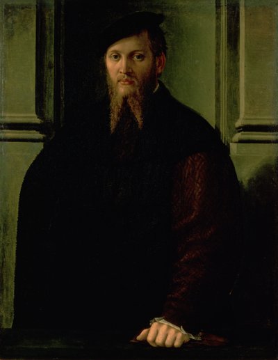 Portrait of a Man by Parmigianino